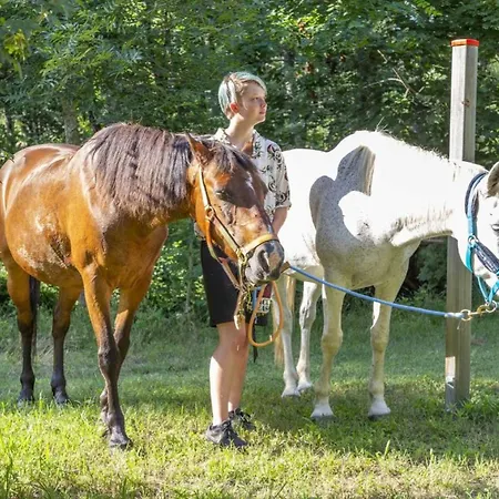 Chalet, Animaux Admis - 5 Pers. - Api-1-52-2604 Campingplads Arras-sur-Rhone